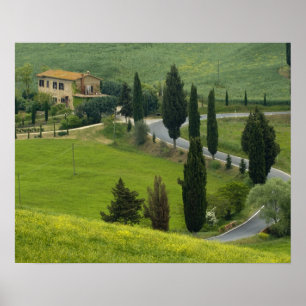 Road from Pienza to Montepulciano, 2 Poster