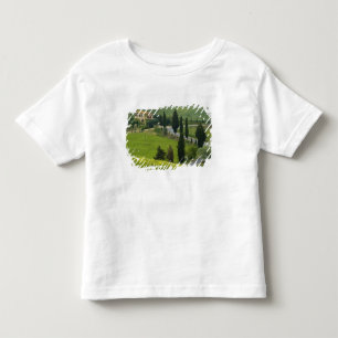 Road from Pienza to Montepulciano, 2 Toddler T-Shirt