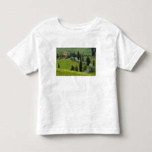 Road from Pienza to Montepulciano, 2 Toddler T-Shirt