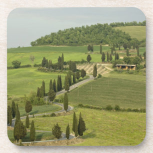 Road from Pienza to Montepulciano, Coaster