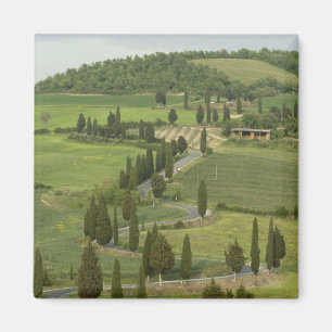 Road from Pienza to Montepulciano, Magnet