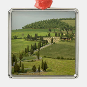 Road from Pienza to Montepulciano, Metal Tree Decoration