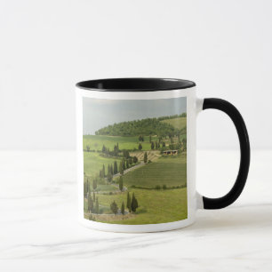 Road from Pienza to Montepulciano, Mug