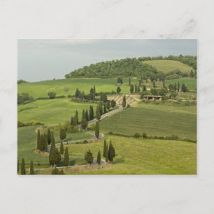 Road from Pienza to Montepulciano, Postcard