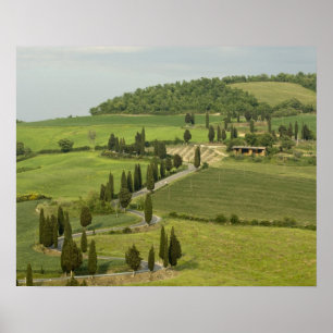Road from Pienza to Montepulciano, Poster
