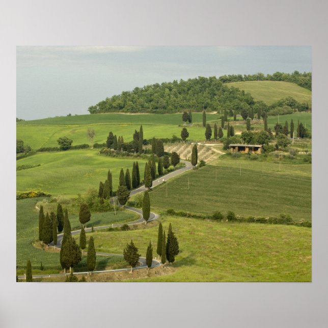Road from Pienza to Montepulciano, Poster (Front)