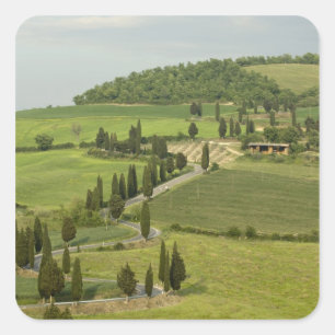 Road from Pienza to Montepulciano, Square Sticker