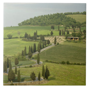 Road from Pienza to Montepulciano, Tile
