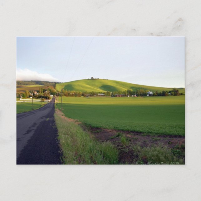 Road home postcard (Front)