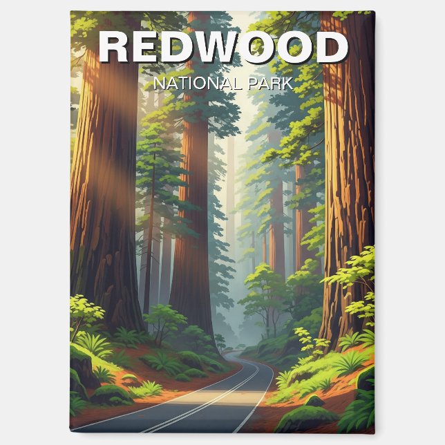 Road in Redwood National Park Magnet (Front)