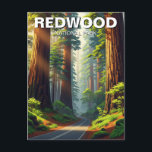 Road in Redwood National Park Postcard<br><div class="desc">Redwood National and State Parks, located along the northern California coast, are home to the tallest trees on Earth—coastal redwoods that can reach heights of over 370 feet. Walking among these towering giants is a humbling experience, as sunlight filters through the dense canopy, casting golden light on fern-covered forest floors...</div>