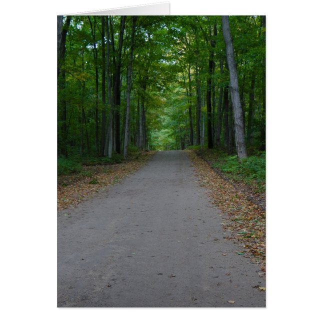 Road in the woods. (Front)