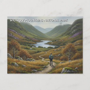 Road in Wicklow Mountains National Park Ireland Postcard