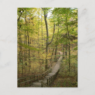 Road Less Travelled Postcard