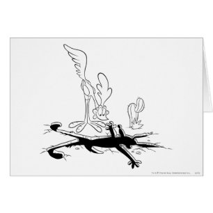 ROAD RUNNER™ and WILE E. COYOTE™ Shaped Hole