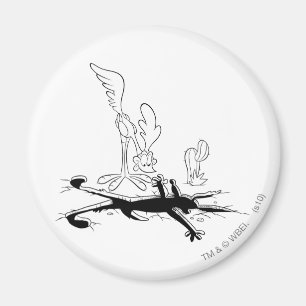 ROAD RUNNER™ and WILE E. COYOTE™ Shaped Hole Magnet
