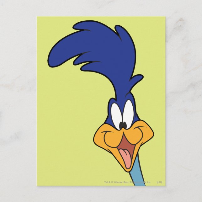 ROAD RUNNER™ Face Postcard (Front)