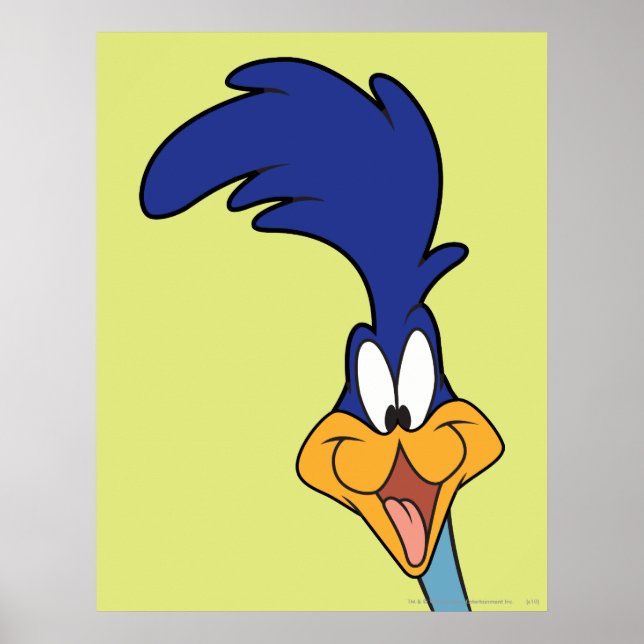 ROAD RUNNER™ Face Poster (Front)