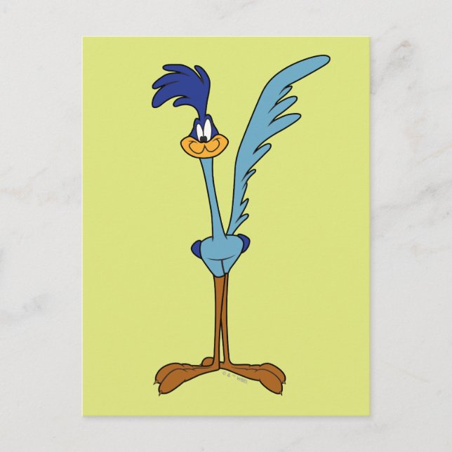 ROAD RUNNER™ in Colour Postcard (Front)