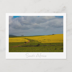 Road South Africa Landscape Postcard