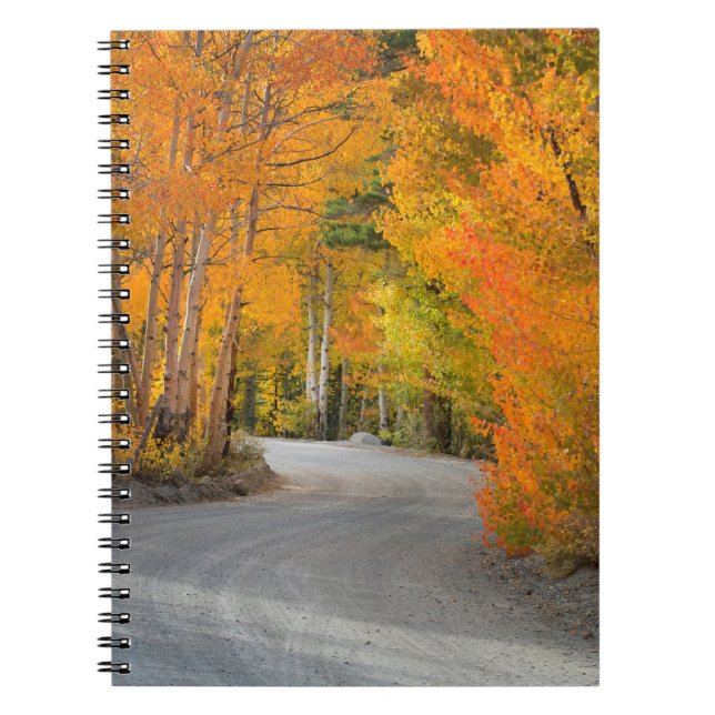 Road Through Autumn Aspens Notebook (Front)