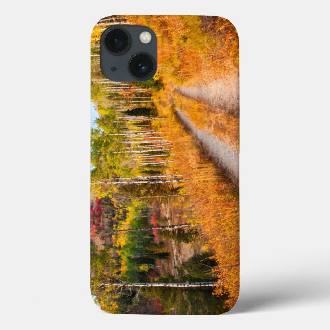 Road Through Autumn Colors Case-Mate iPhone Case (Back)