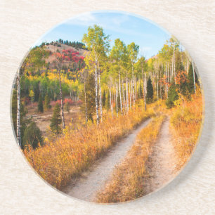 Road Through Autumn Colours Coaster