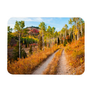 Road Through Autumn Colours Magnet