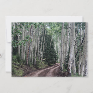 Road Through the Birch Card