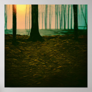 Road through the Forest Poster
