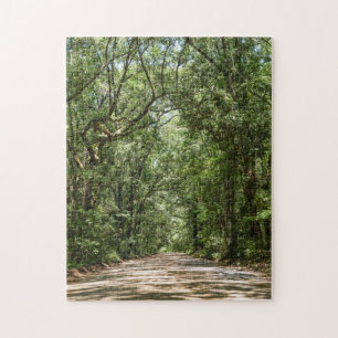 Road To Angel Oak Jigsaw Puzzle
