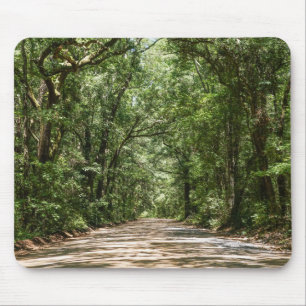 Road To Angel Oak Mouse Pad