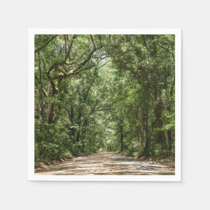 Road To Angel Oak Napkin