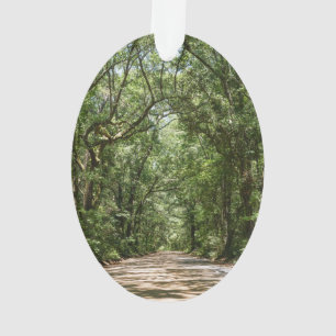 Road To Angel Oak Ornament