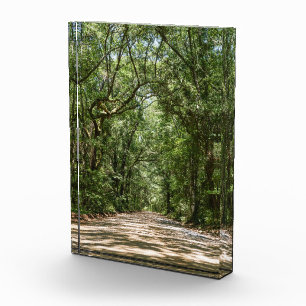 Road To Angel Oak Photo Block