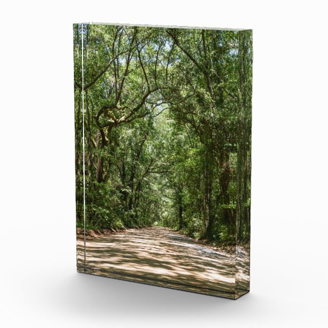 Road To Angel Oak Photo Block (Right)