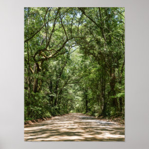 Road To Angel Oak Poster