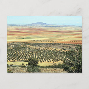 Road to Ciudad Real from Orgaz, Castilla-La Mancha Postcard