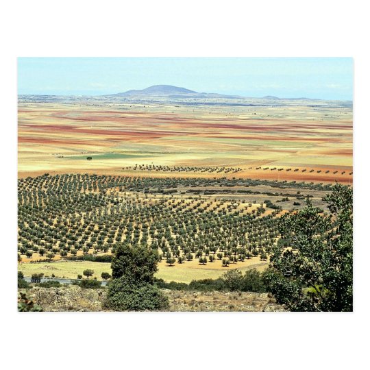 Road to Ciudad Real from Orgaz, Castilla-La Mancha Postcard