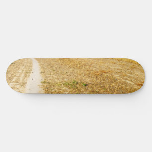 Road to Sansol Skateboard
