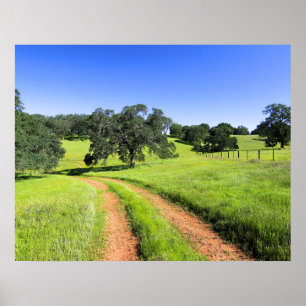 Road to Spring Poster