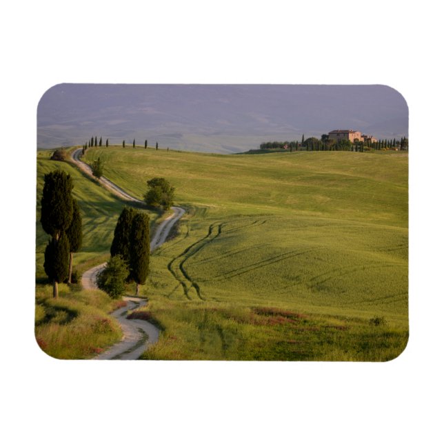 Road to Terrapille in Tuscany magnet (Horizontal)