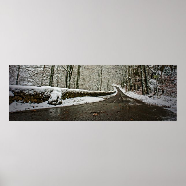 Road to the Future - Poster 36x12 (Front)