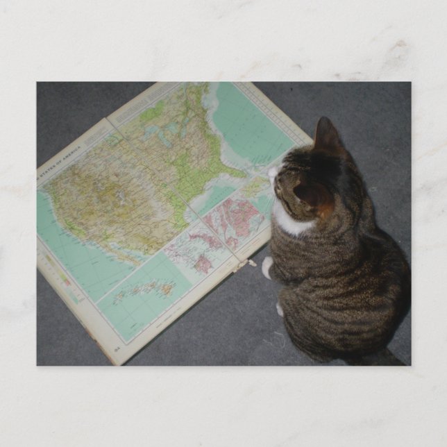 Road trip postcard (Front)