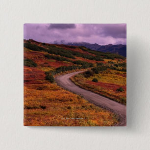 Road Winding Through Hills in Denali National 15 Cm Square Badge