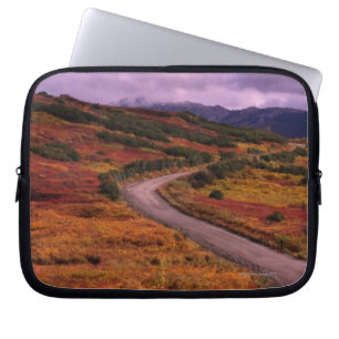 Road Winding Through Hills in Denali National Laptop Sleeve