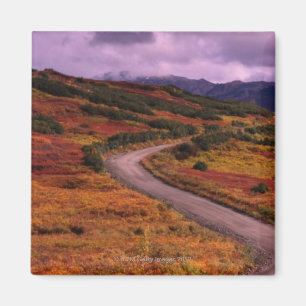 Road Winding Through Hills in Denali National Magnet