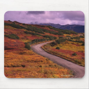 Road Winding Through Hills in Denali National Mouse Pad