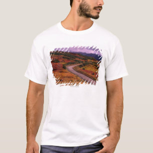 Road Winding Through Hills in Denali National T-Shirt