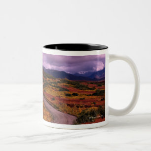 Road Winding Through Hills in Denali National Two-Tone Coffee Mug
